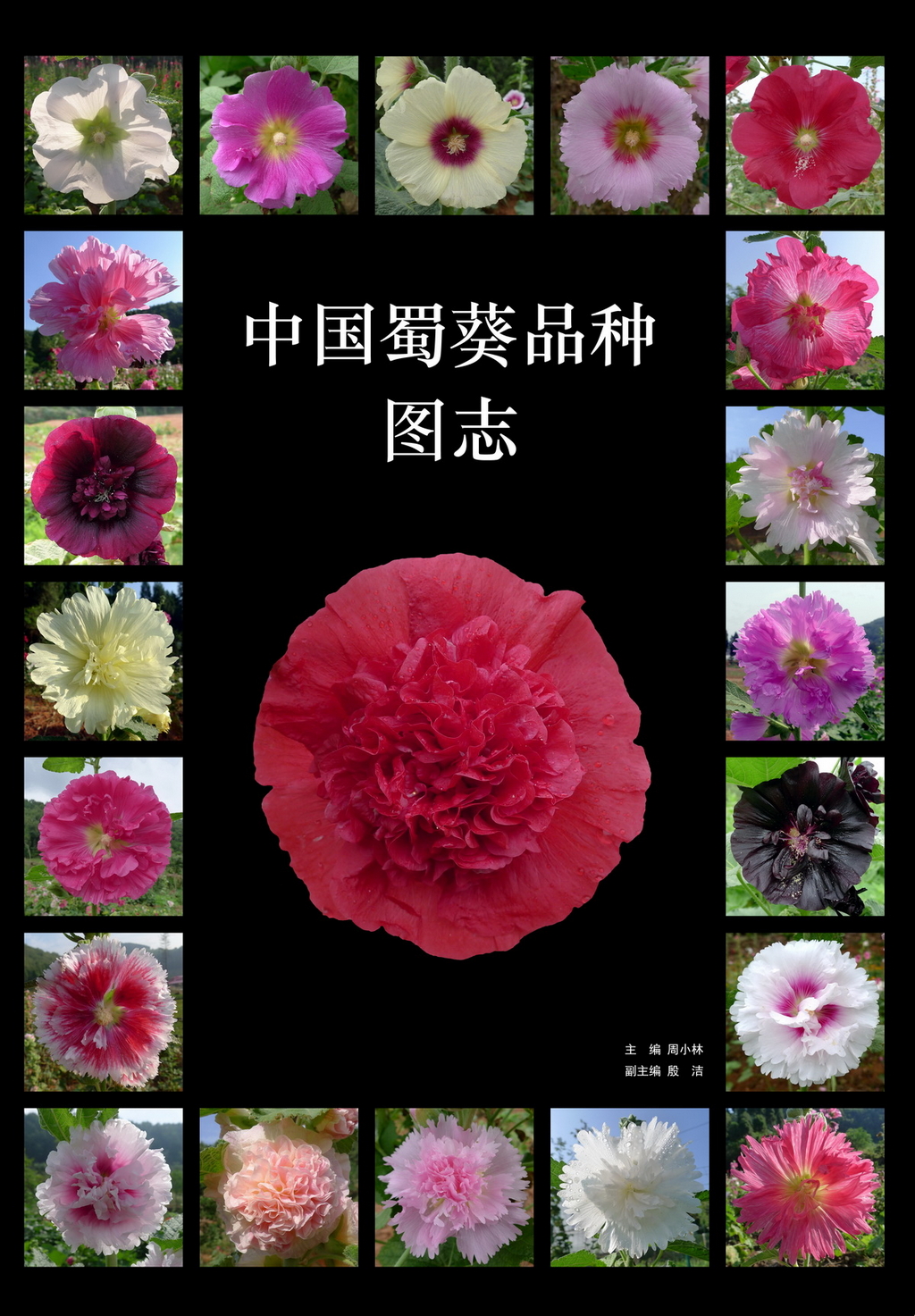 00001 a封面 1_调整大小_调整大小.jpg