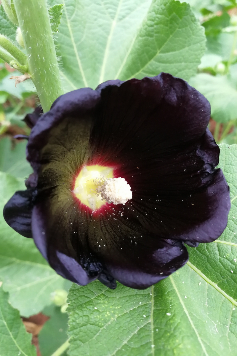 IMG_20210505_185649_调整大小.jpg