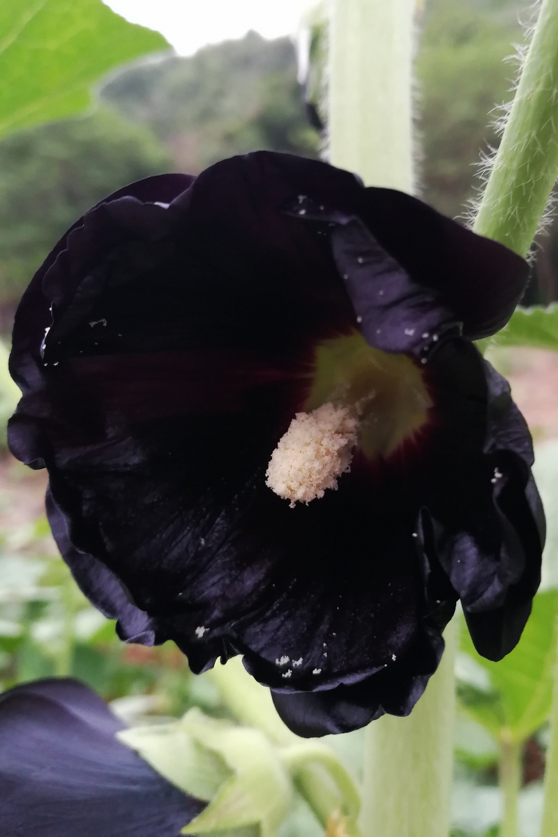 IMG_20210505_185934_调整大小.jpg