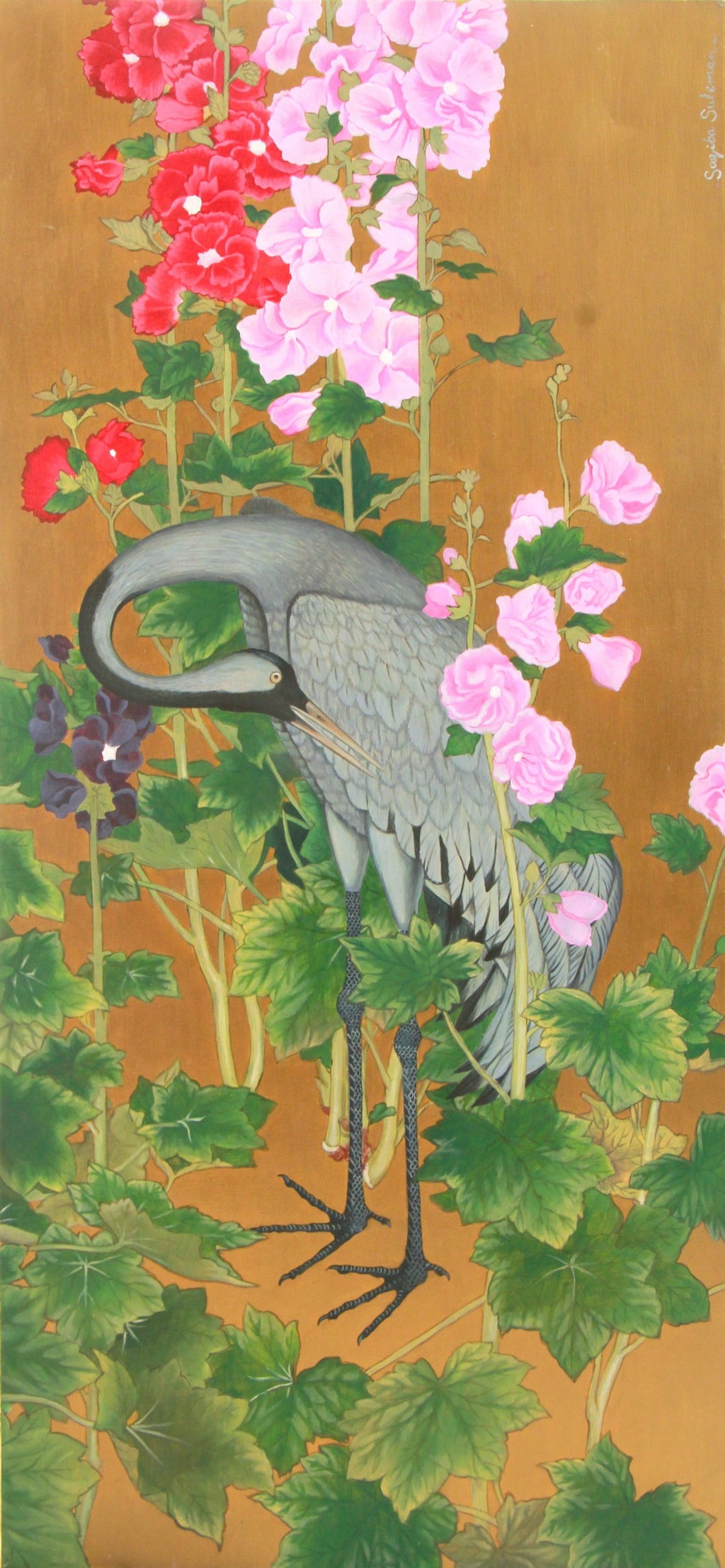 巴基斯坦 Saqiba Suleman 2_调整大小.jpg