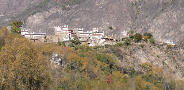 图片移库 590.jpg