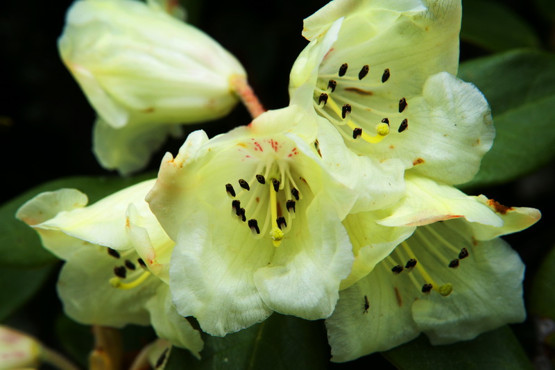 08-05-17燕子沟 (35)_调整大小.JPG