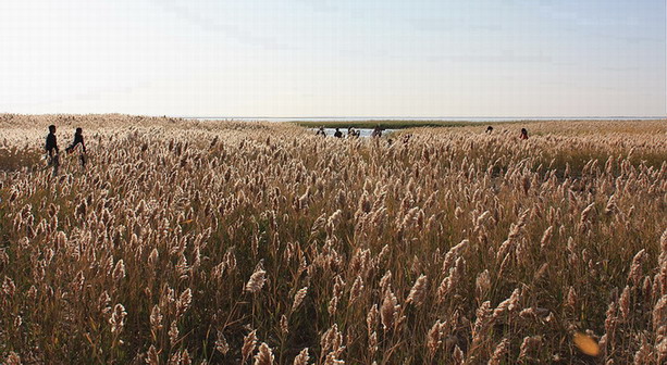 08额济之行 061.jpg