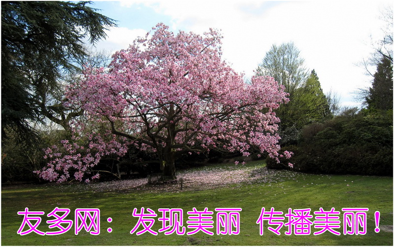 2010年4月下旬封面_调整大小.jpg