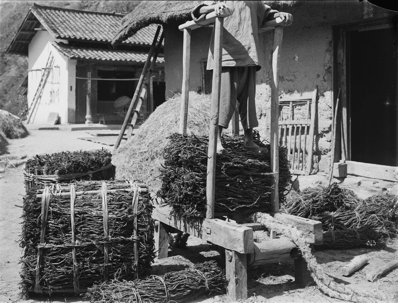 043 1910-06-10湖北省 兴山_调整大小.jpg