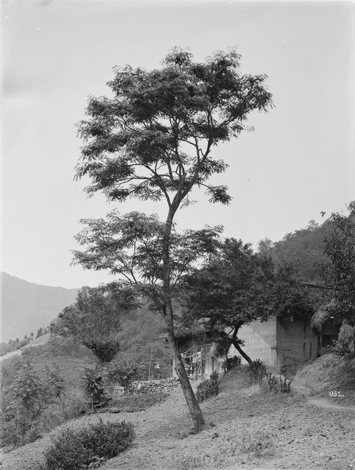 052 1910-06-11湖北省 兴山 2_调整大小.jpg