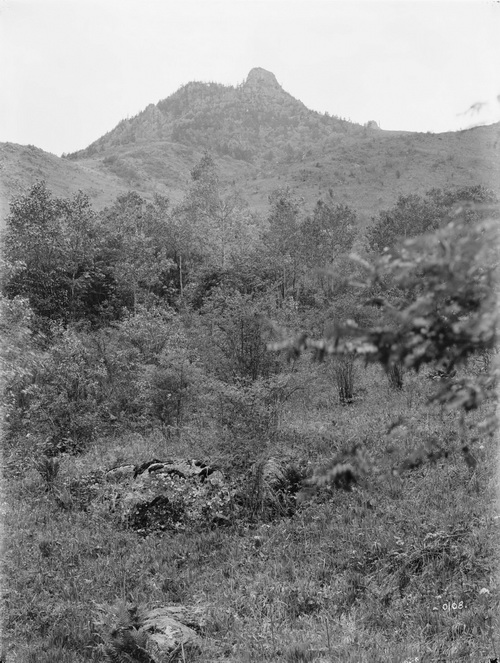 108 1910-06-17湖北省  房县 5_调整大小.jpg