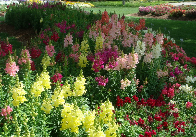 Picture 193_调整大小.jpg