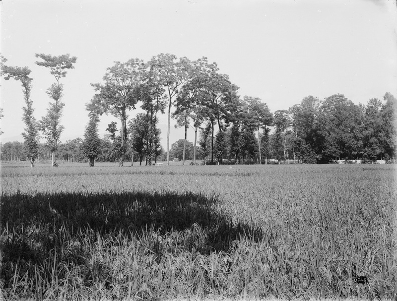 249 1910-08-10绵竹县Mianzhu_调整大小.jpg