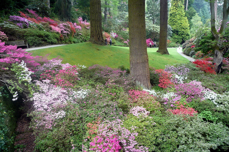 11 英国博德内特花园 Bodnant Garden _调整大小.JPG