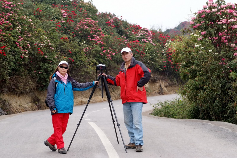 3 在横断山域考察杜鹃花_调整大小.JPG