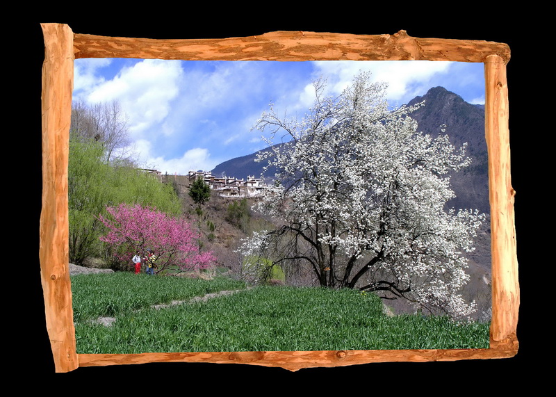 1 春天_调整大小.JPG