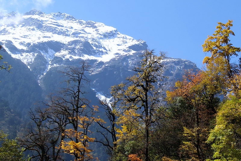 3 秋天_调整大小.JPG