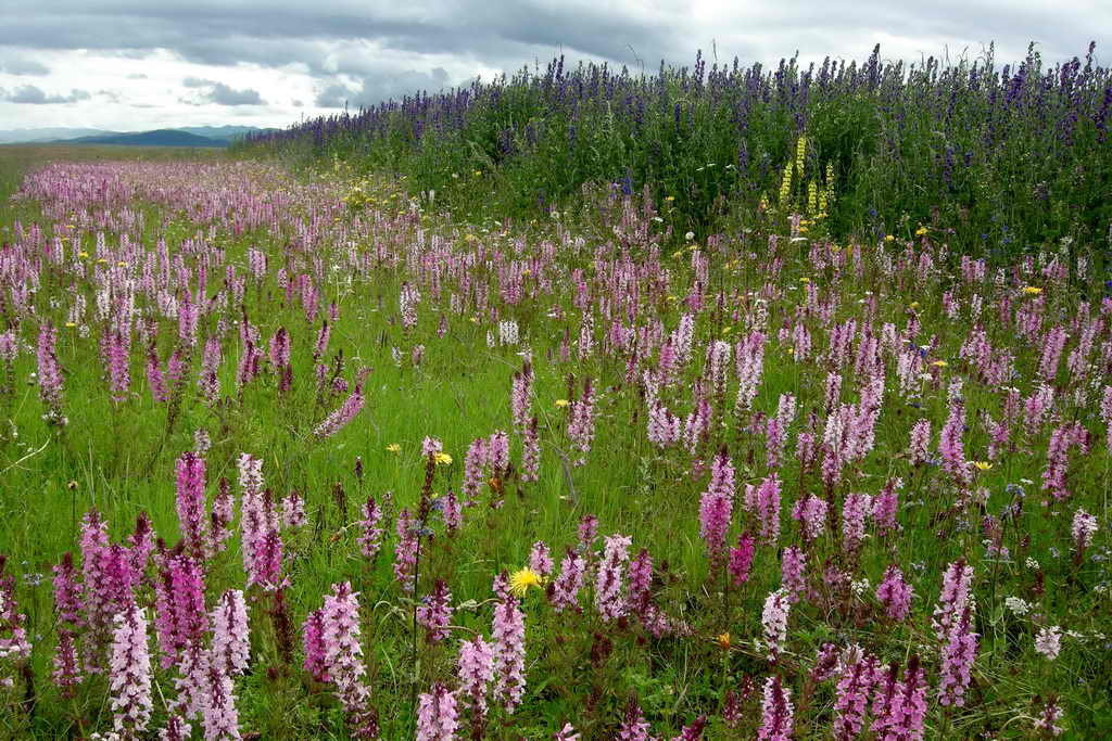 1 春天_调整大小.jpg