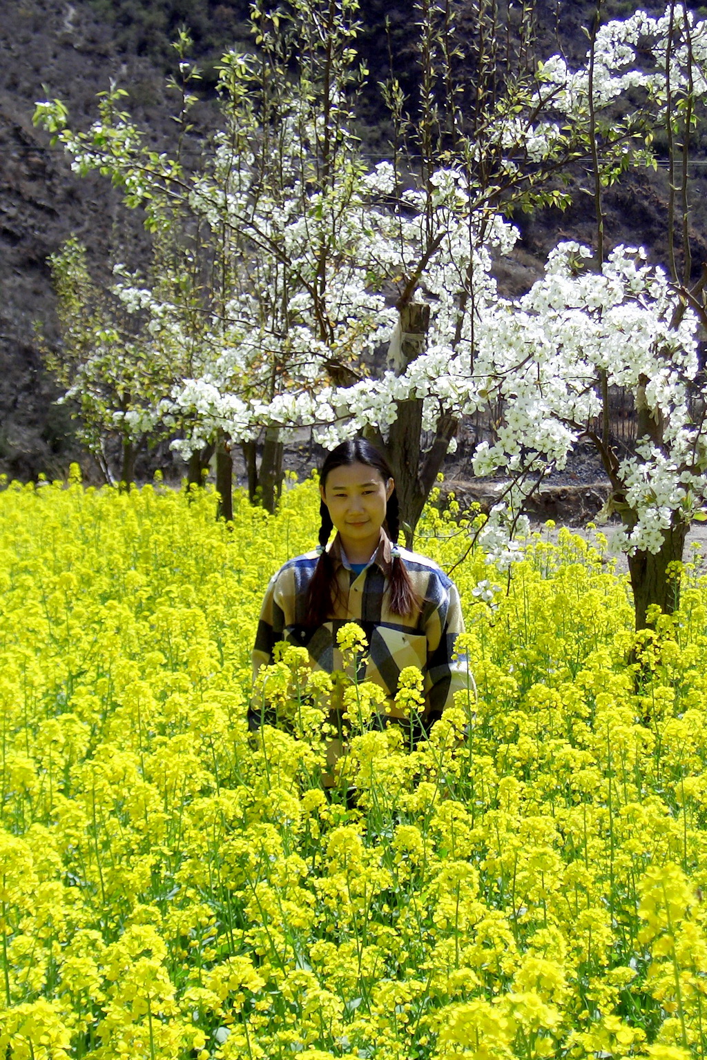 2005 _调整大小.jpg